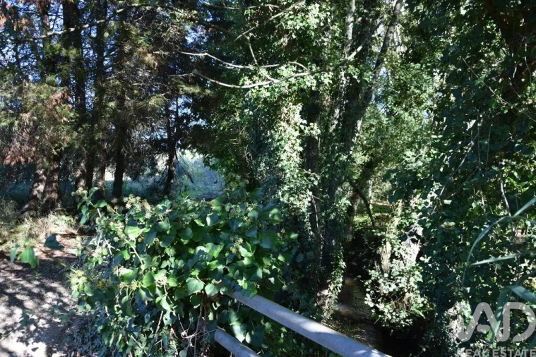 Moradia T1 para Venda em Urqueira Foto 20