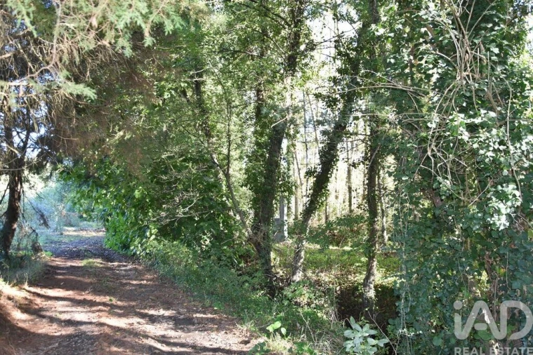 Moradia T1 para Venda em Urqueira Foto 28