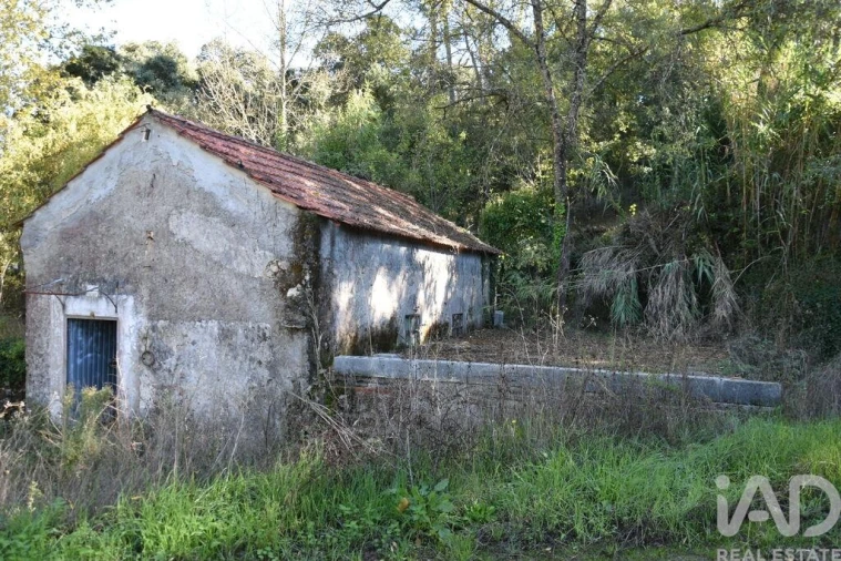 Moradia T1 para Venda em Urqueira Foto 12