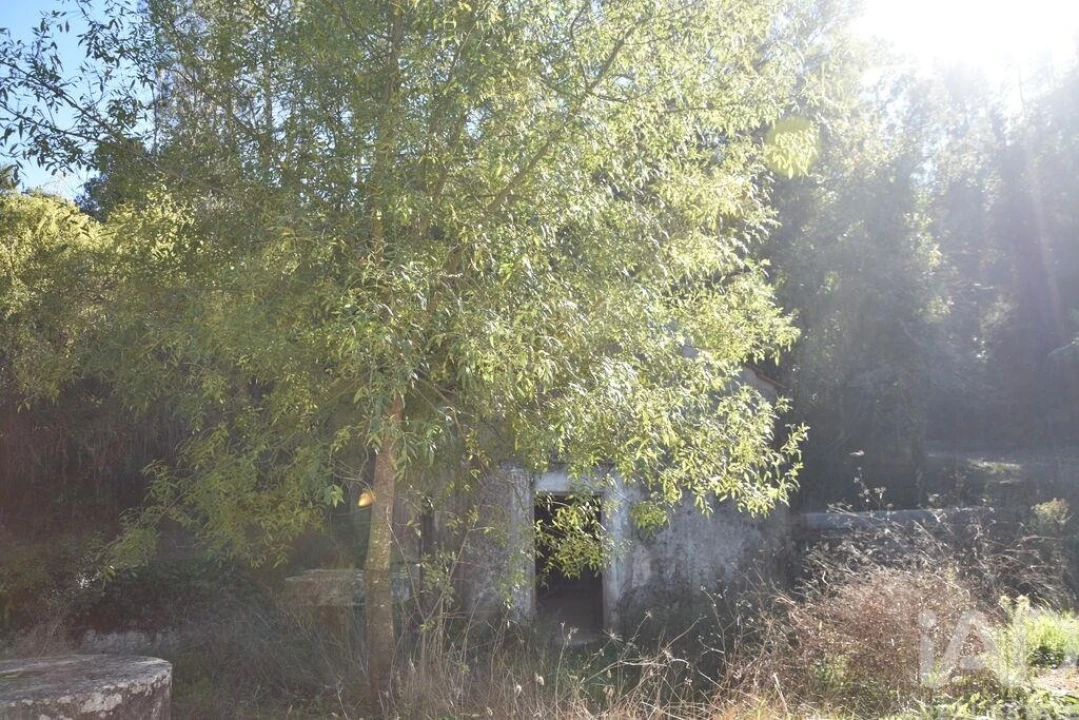 Moradia T1 para Venda em Urqueira Foto 6