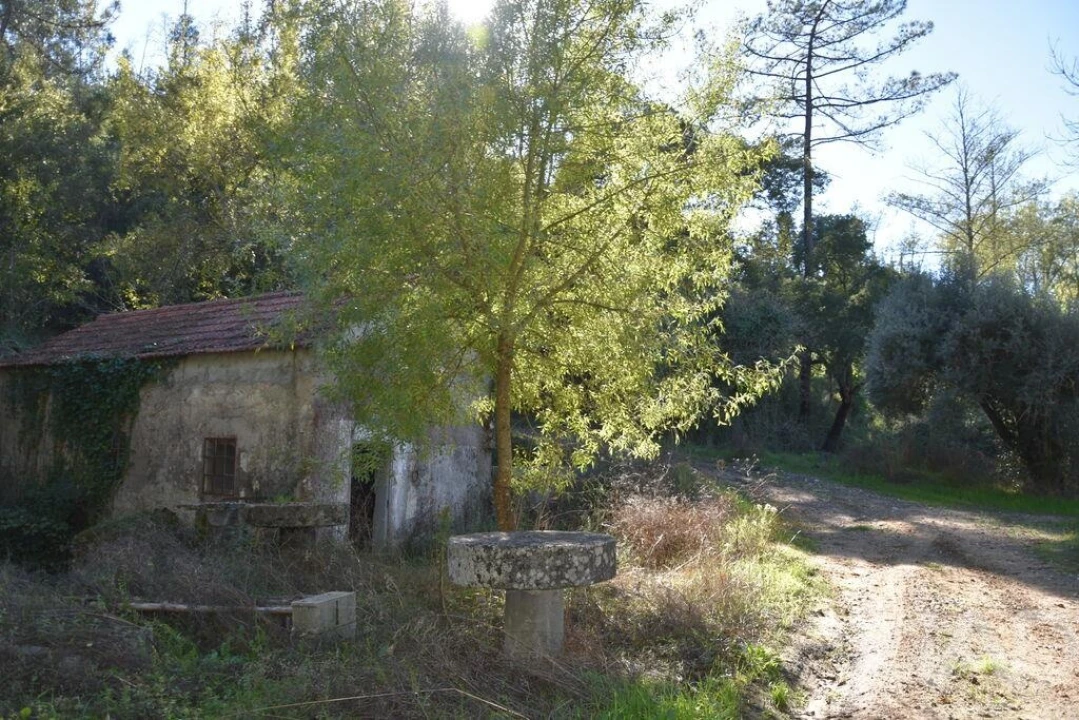 Moradia T1 para Venda em Urqueira Foto 2