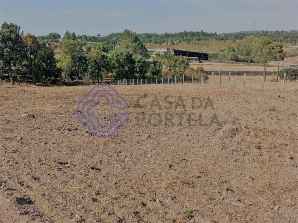 Terreno para Venda em São Pedro de Tomar Foto 6