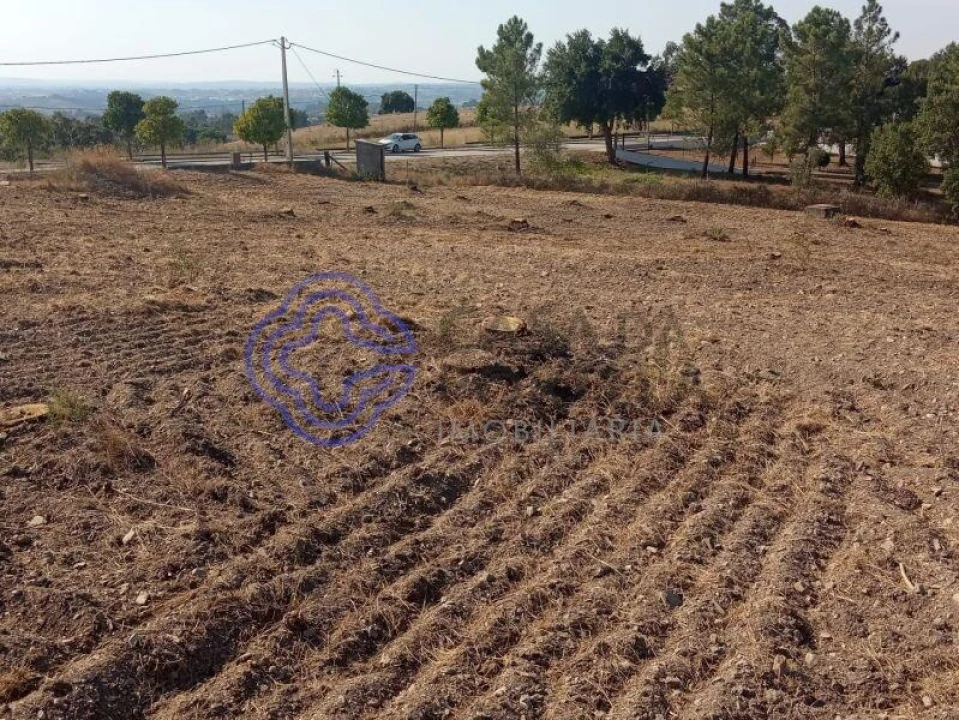 Terreno para Venda em São Pedro de Tomar Foto 1