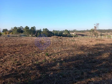 Terreno para Venda em São Pedro de Tomar