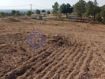 Terreno para Venda em São Pedro de Tomar