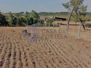 Terreno para Venda em São Pedro de Tomar