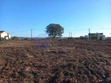 Terreno para Venda em São Pedro de Tomar