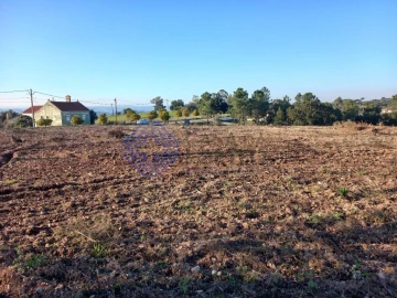Terreno para Venda em São Pedro de Tomar