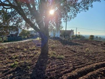 Terreno para Venda em São Pedro de Tomar