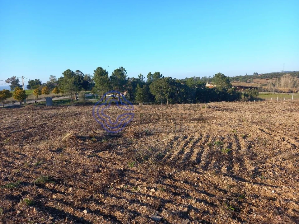 Terreno para Venda em São Pedro de Tomar Foto 14