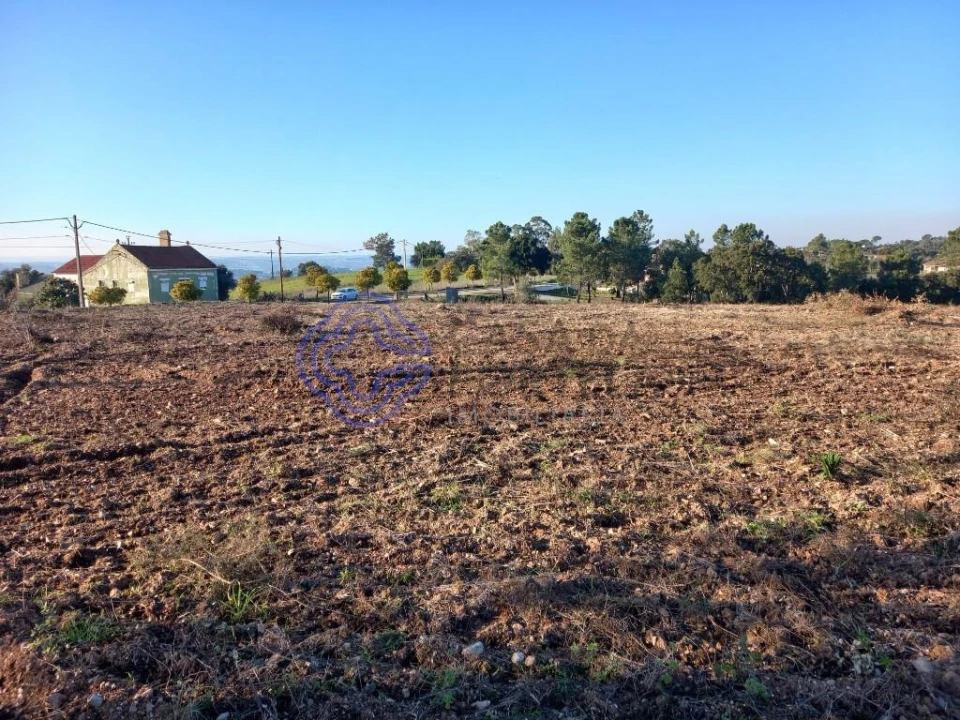 Terreno para Venda em São Pedro de Tomar Foto 15