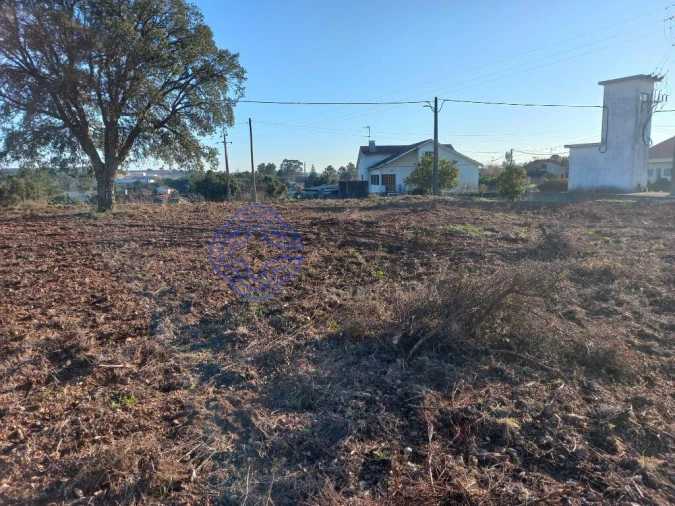 Terreno para Venda em São Pedro de Tomar Foto 11