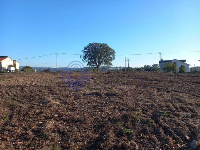 Terreno para Venda em São Pedro de Tomar Foto 8