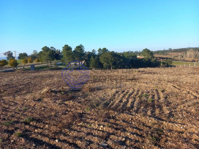 Terreno para Venda em São Pedro de Tomar Foto 14