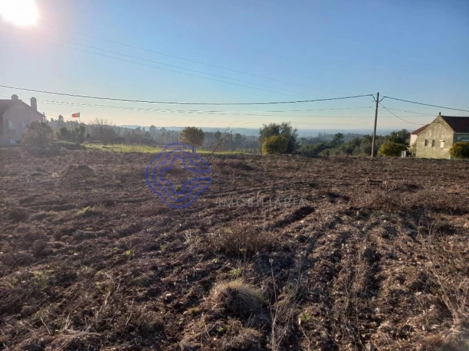 Terreno para Venda em São Pedro de Tomar Foto 12