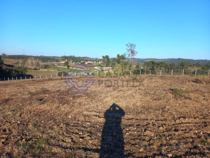 Terreno para Venda em São Pedro de Tomar Foto 13