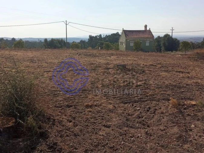 Terreno para Venda em São Pedro de Tomar Foto 5