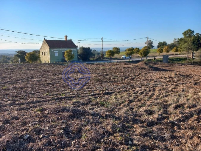 Terreno para Venda em São Pedro de Tomar Foto 9