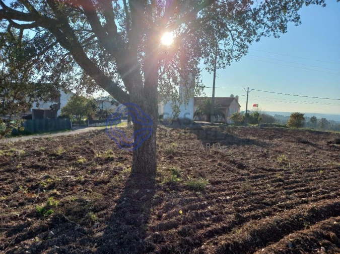 Terreno para Venda em São Pedro de Tomar Foto 17
