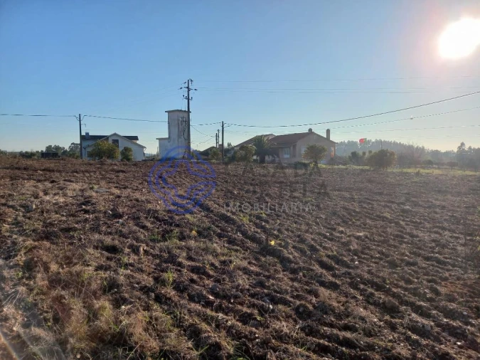 Terreno para Venda em São Pedro de Tomar Foto 7