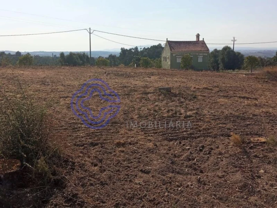 Terreno para Venda em São Pedro de Tomar Foto 5