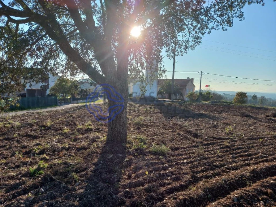 Terreno para Venda em São Pedro de Tomar Foto 17