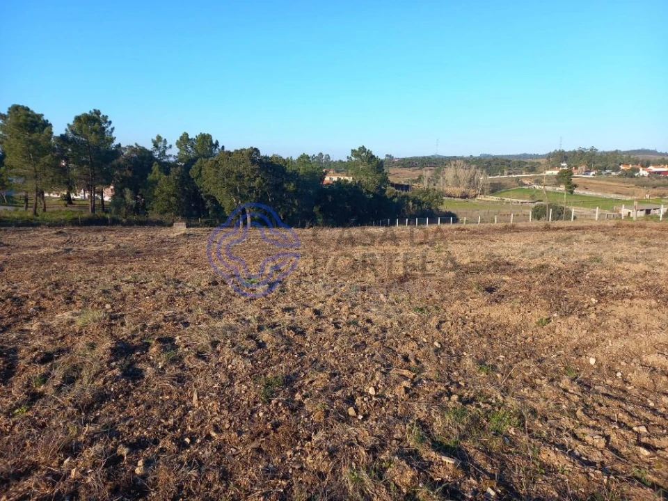 Terreno para Venda em São Pedro de Tomar Foto 10