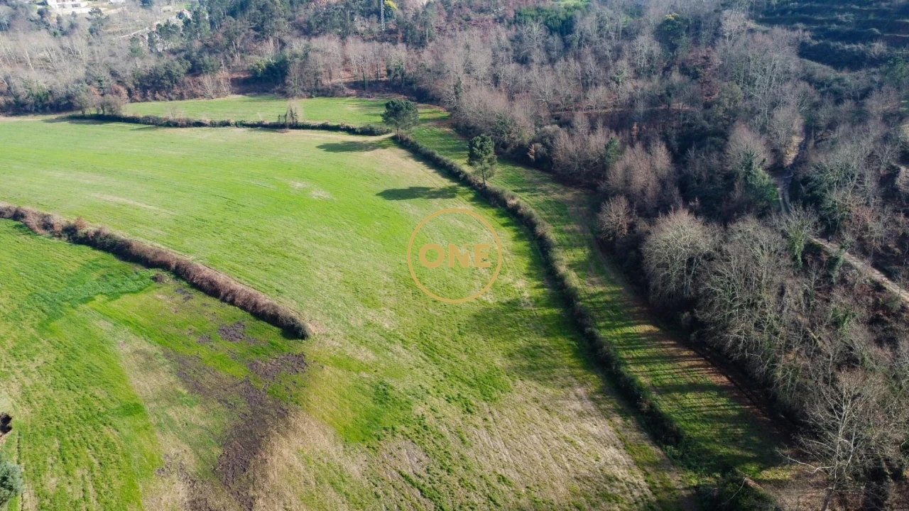 Terreno para Venda em Mondim de Basto Foto 10