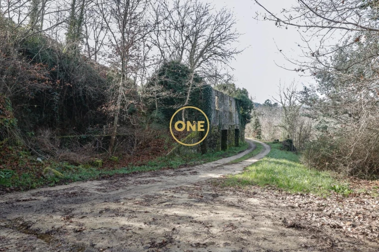 Terreno para Venda em Mondim de Basto Foto 9