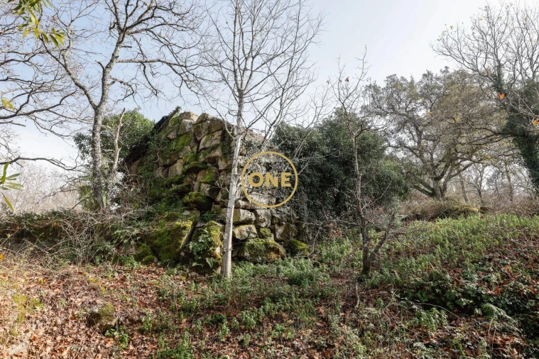 Terreno para Venda em Mondim de Basto Foto 7
