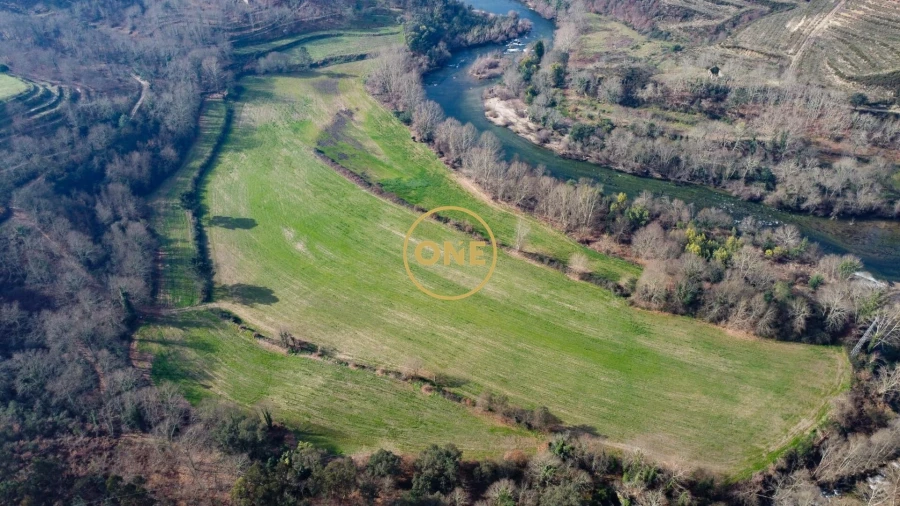Terreno para Venda em Mondim de Basto Foto 2