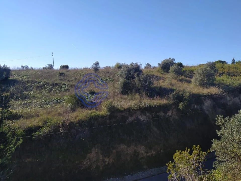 Terreno para Venda em Serra e Junceira Foto 28