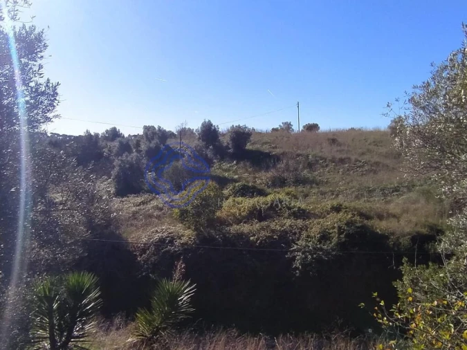 Terreno para Venda em Serra e Junceira Foto 30