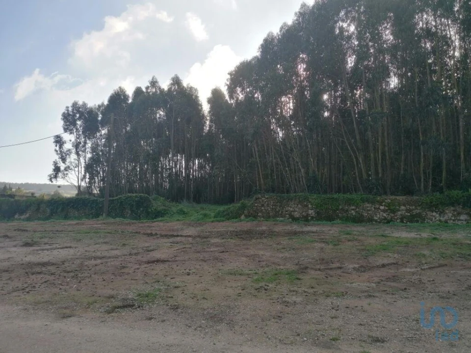 Terreno para Venda em Santo Quintino Foto 2