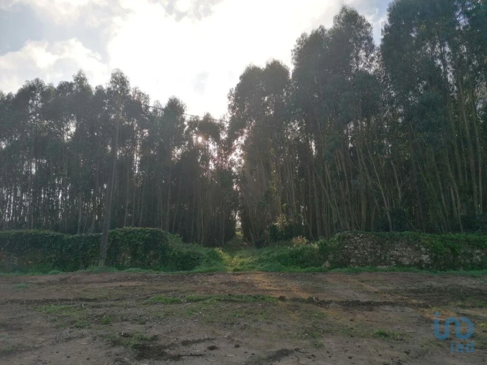 Terreno para Venda em Santo Quintino Foto 5