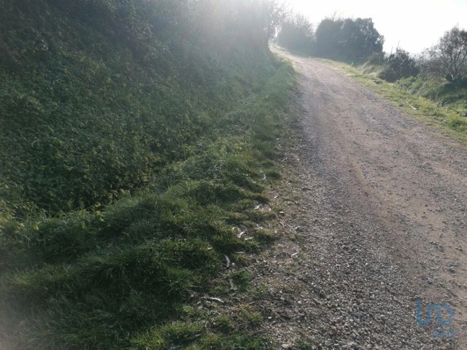 Terreno para Venda em Santo Quintino Foto 7