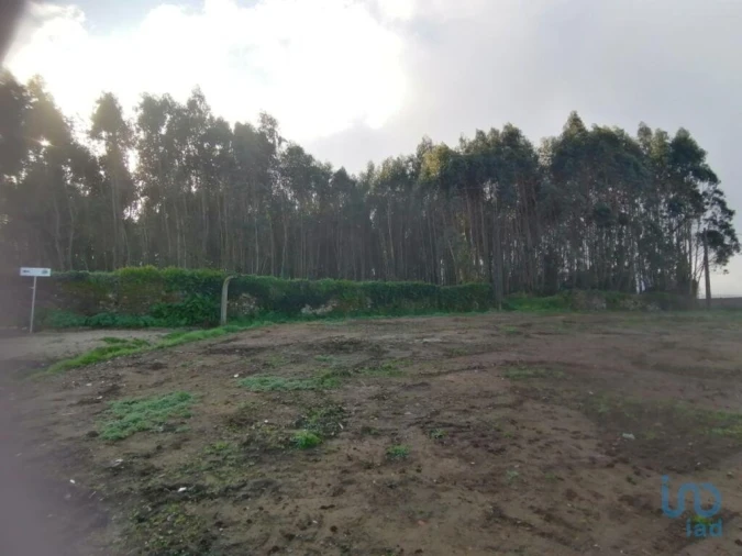 Terreno para Venda em Santo Quintino Foto 8