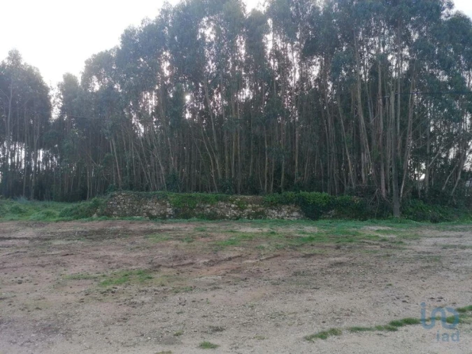 Terreno para Venda em Santo Quintino Foto 4