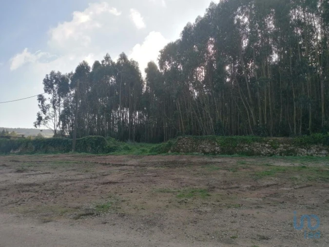 Terreno para Venda em Santo Quintino Foto 2