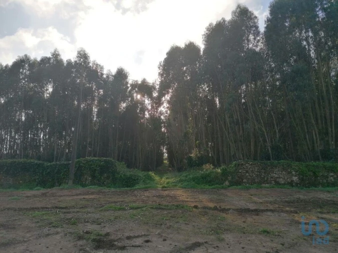 Terreno para Venda em Santo Quintino Foto 5