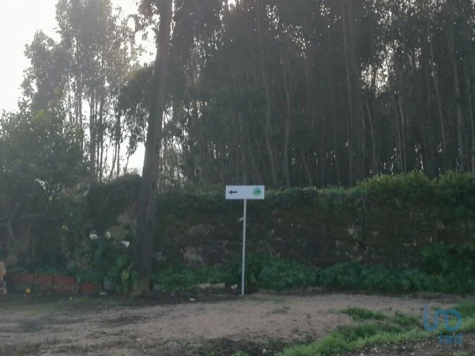 Terreno para Venda em Santo Quintino Foto 6