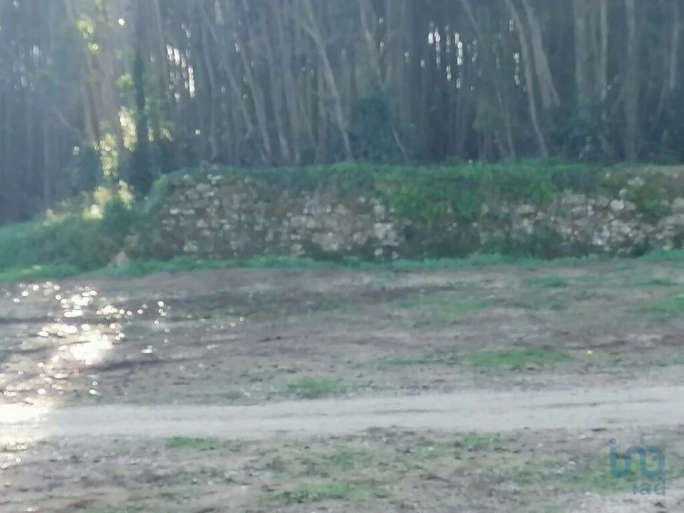 Terreno para Venda em Santo Quintino Foto 11