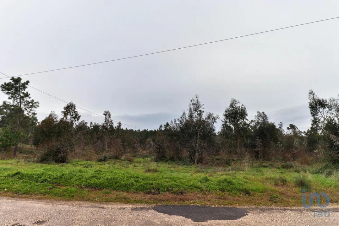 Terreno para Venda em Soure Foto 8