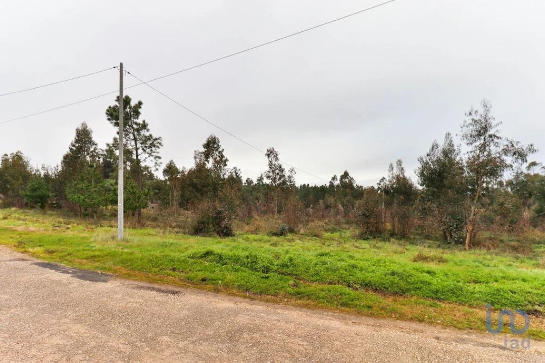Terreno para Venda em Soure Foto 12