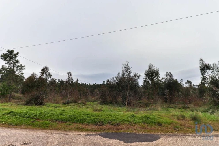 Terreno para Venda em Soure Foto 8