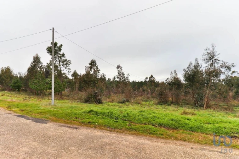 Terreno para Venda em Soure Foto 12