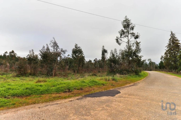 Terreno para Venda em Soure Foto 11
