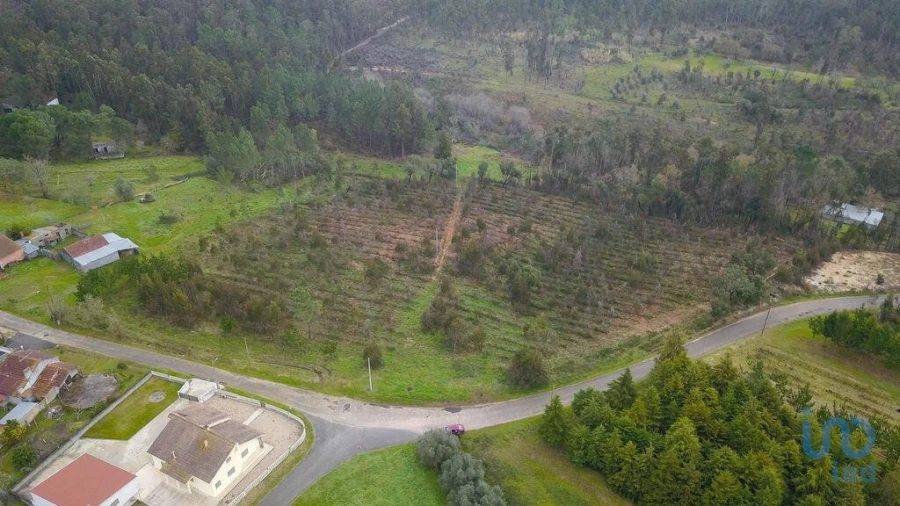 Terreno para Venda em Soure Foto 3