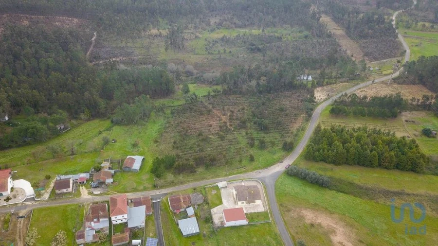 Terreno para Venda em Soure Foto 5