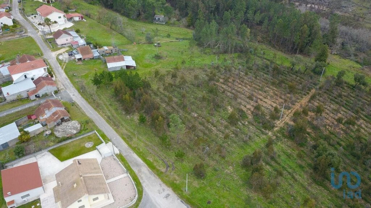 Terreno para Venda em Soure Foto 2